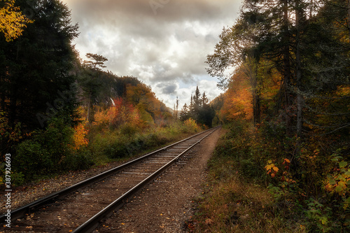 An empty train track leads through the Autumn colours in the woods.