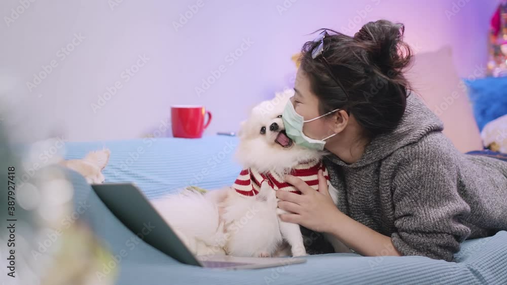 working at home asian female woman working with hand use laptop while cuddle play with lap dog on sofa living room new normal lifestyle working at home asian female woman working with hand use laptop while cuddle play with lap dog on sofa living room new normal lifestyle