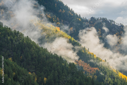 Gloomy autumn morning, clouds and fog on a mountain slope covered with forest