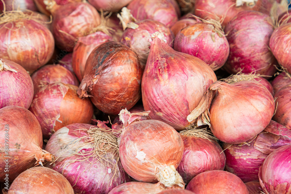 Mumbai, Maharashtra - October 15 2020 : Vegetable seller shop during Corona Pandemic Lockdown with vegetables Mumbai, Maharashtra - October 15 2020 : Vegetable seller shop during Corona Pandemic Lockdown with vegetables