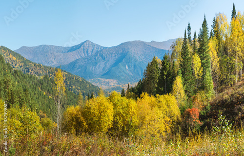 Sunny autumn day in the Sayan mountains, Siberia. 