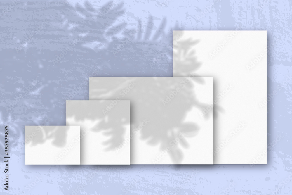 Several horizontal and vertical sheets of white textured paper against a blue wall background. Mockup with an overlay of plant shadows. Natural light casts shadows from a Rowan branch Several horizontal and vertical sheets of white textured paper against a blue wall background. Mockup with an overlay of plant shadows. Natural light casts shadows from a Rowan branch