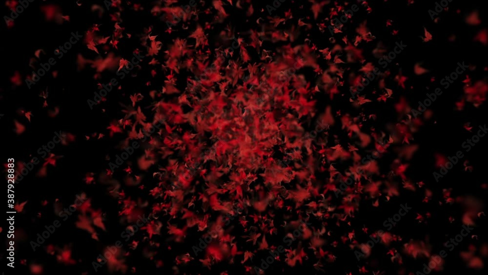 maple red leaves particle animation maple red leaves particle animation