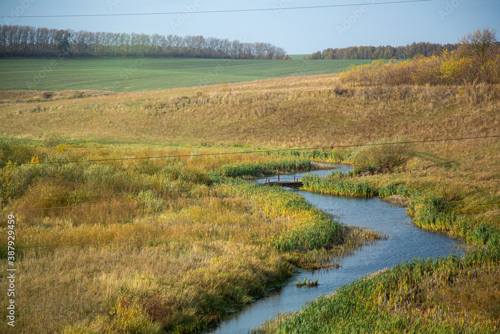 small bridge over the stream in the autumn field