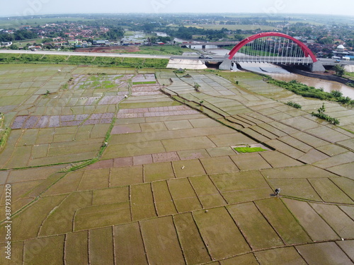 Aerial view of the splendor of Kali Kutho Bridge, Kali Kuto, Trans Java Highway, Indonesia photo