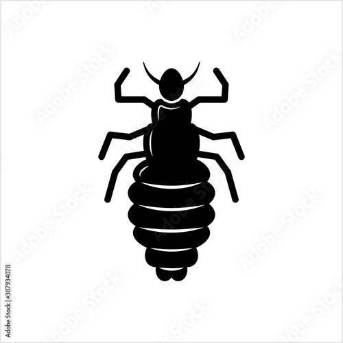 Louse Icon, Lice Icon, Wingless Insect, Obligate Parasite