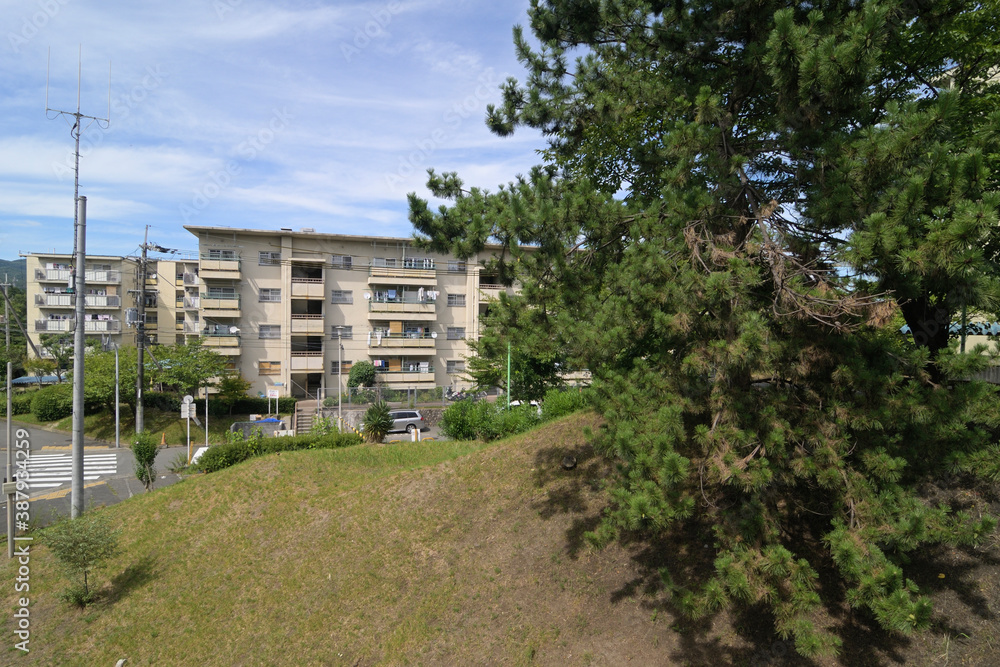千里ニュータウン新千里北町(大阪府豊中市)の府営新千里北住宅 千里ニュータウン新千里北町(大阪府豊中市)の府営新千里北住宅