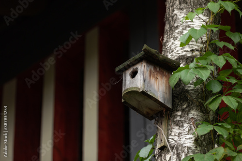 birdhouse on a tree in forest Park , hand wood shelter for birds to spend the winter