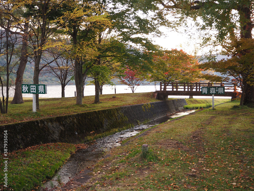 Fototapeta premium 十和田湖 秋田県と青森県の県境