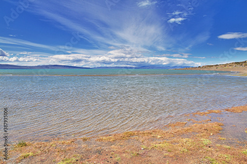 Lago argentino lake in Laguna Nimez Reserva  El Calafate  Patagonia  Argentina