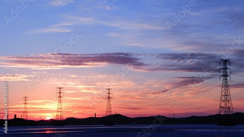 cranes at sunset