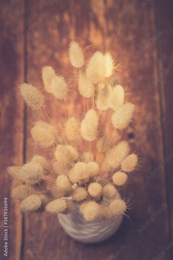 Vase of dried soft autumn flowers. Rabbit Tail Grass. vintage foto