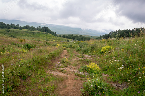 Mountain meadows with flowers and grass. Lagonaki Plateau, Republic of Adygea, Russia