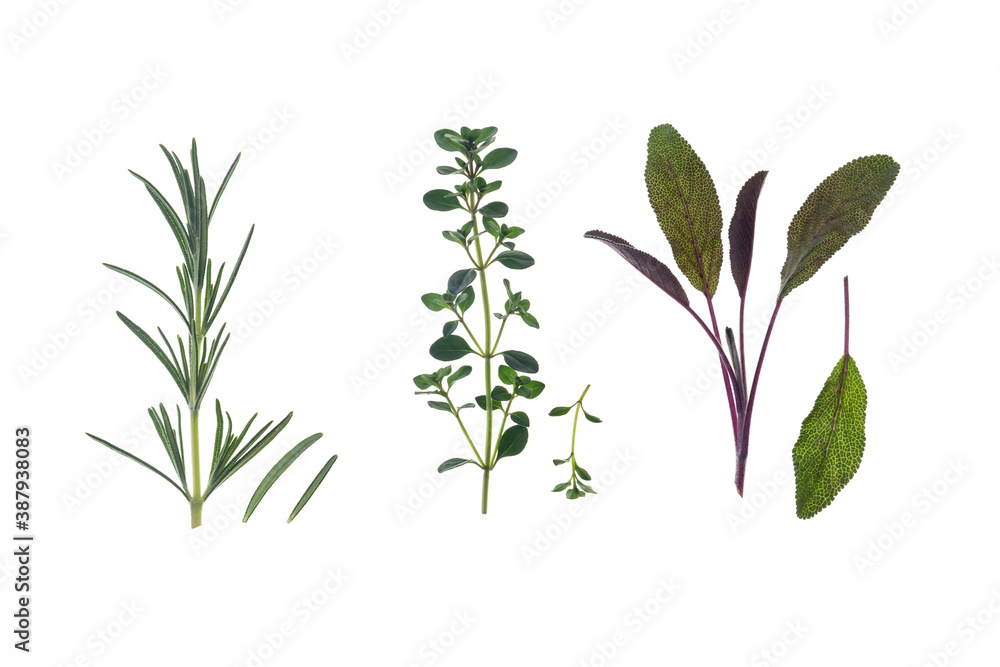 Naklejka premium fresh rosemary, thyme and sage leaves isolated on white background