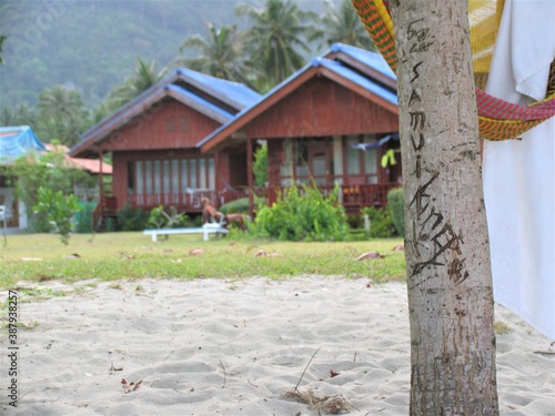 Palm tree trunk with caption "Samui king" and beach huts on the background, Koh Samui, Thailand.