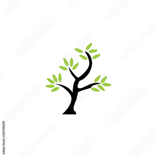 Tree icon logo, vector design