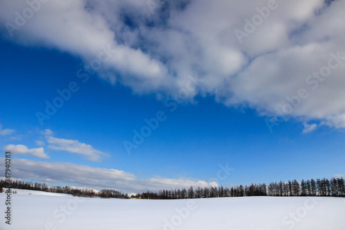 雪原と冬の青空 