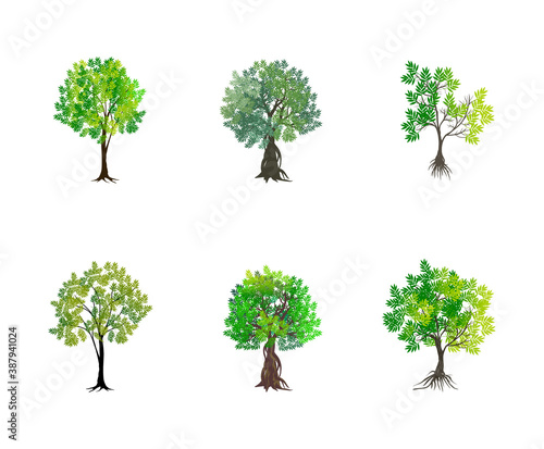 tree vector collections for design elements