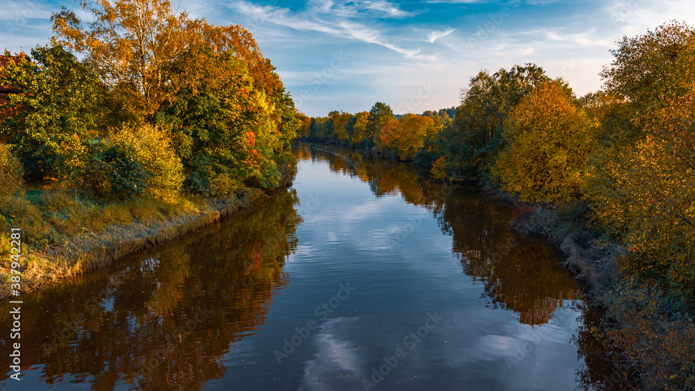 Fototapeta premium reflection of trees in water
