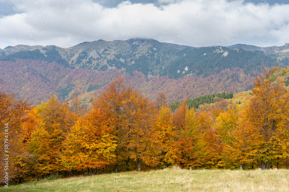 Red Mountain scenery in Cheia, Prahova, Romania in the Carpathian Ciucas Mountains