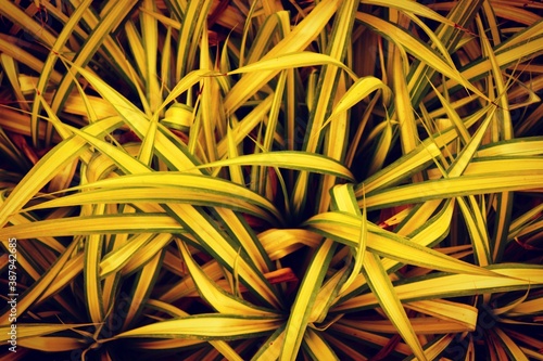 close up of a yellow background