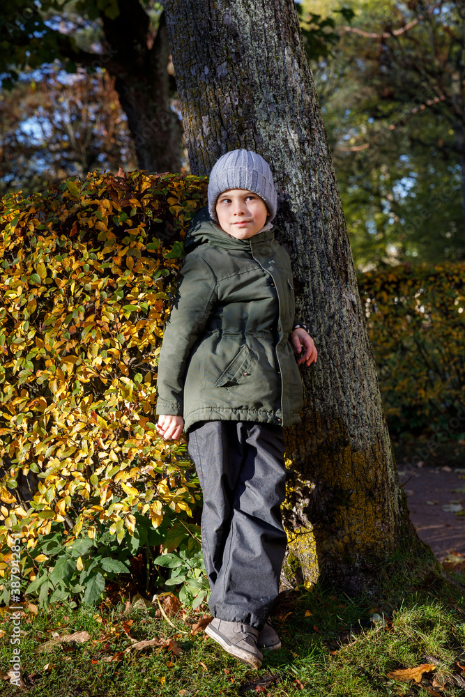 portrait of a boy on a walk in the autumn park. portrait of a boy on a walk in the autumn park.