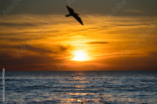 Traumhaft romantischer Sonnenuntergang,  mit Möven, schäumende Wellen, Abendrot und menschenleerer Strand auf Sanibel Island