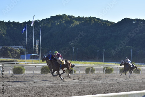 高知競馬