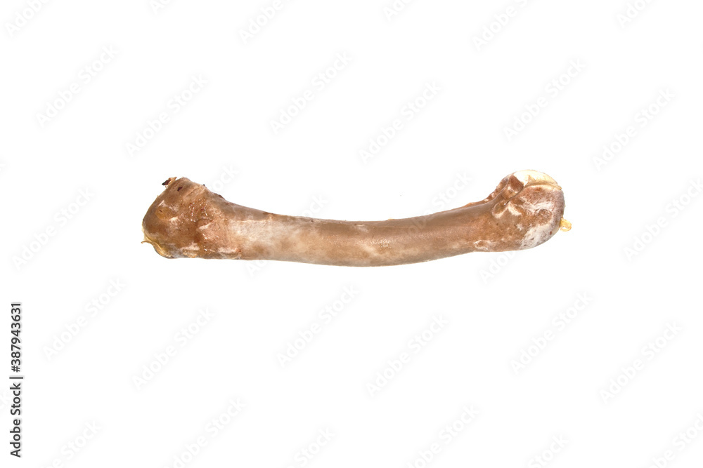 chicken bones isolated on white background chicken bones isolated on white background
