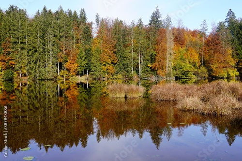 Fototapeta Naklejka Na Ścianę i Meble -  Autumnal Reflections in the Lake
