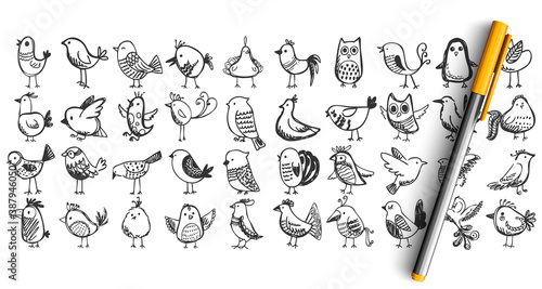 Birds doodle set. Collection pencil pen ink hand drawn sketches templates patterns of flying animals nightingale owl tree sparrow pigeon isolated in line. Zoology ornitology forest fauna illustration.