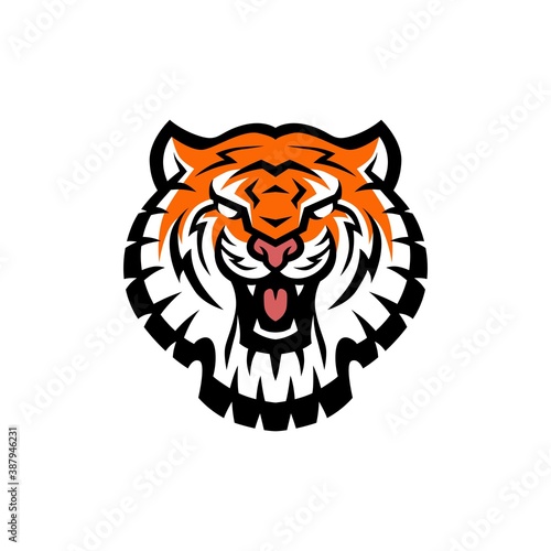 tiger head logo vector icon illustration