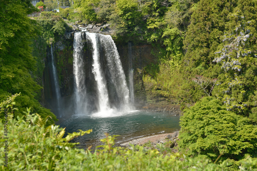 Obraz premium 音止めの滝