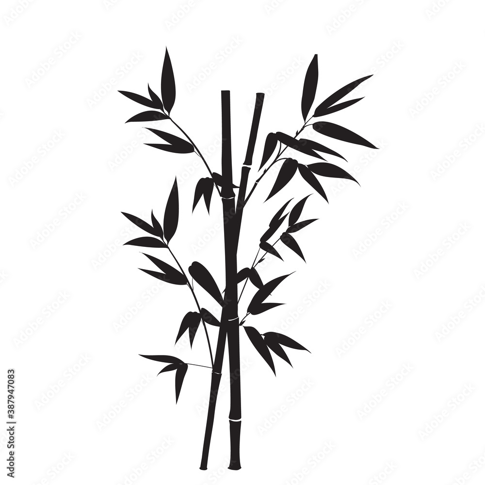 Silhouette bamboo leaves on white background. Silhouette bamboo leaves on white background.