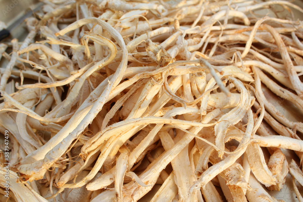 dry Bellflower trimmed