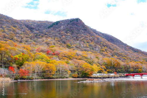 Red leaves on Akagi mountain in Gunma prefecture Japan