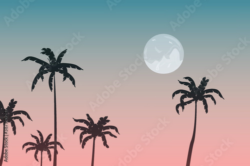 Illustration of a gentle sunset with palm trees and moon. Vector graphics