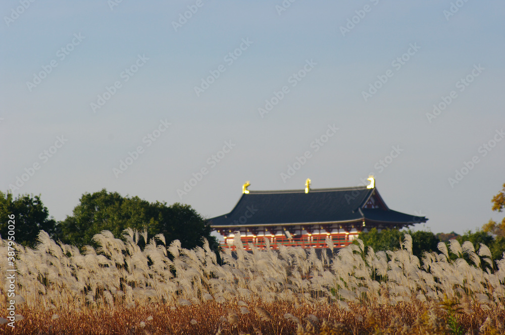 ススキと大極殿