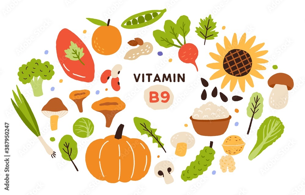 Collection of vitamin B9 sources. Food enriched with folatin. Dairy product, fruits, vegetables and salad greens. Dietetic organic nutrition. Flat vector cartoon illustration isolated on white Collection of vitamin B9 sources. Food enriched with folatin. Dairy product, fruits, vegetables and salad greens. Dietetic organic nutrition. Flat vector cartoon illustration isolated on white