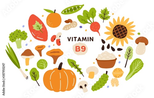 Collection of vitamin B9 sources. Food enriched with folatin. Dairy product, fruits, vegetables and salad greens. Dietetic organic nutrition. Flat vector cartoon illustration isolated on white