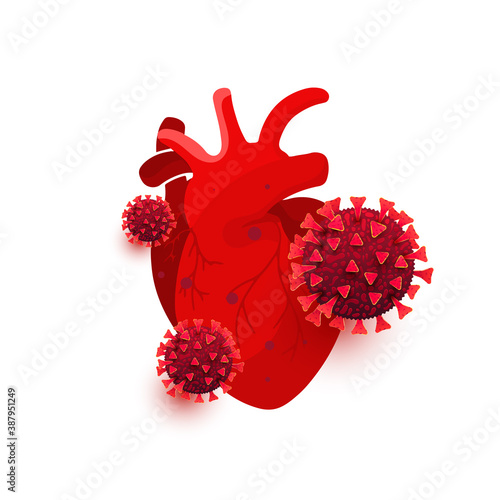 Coronavirus dangerous cells infect the heart organ isolated on white background
