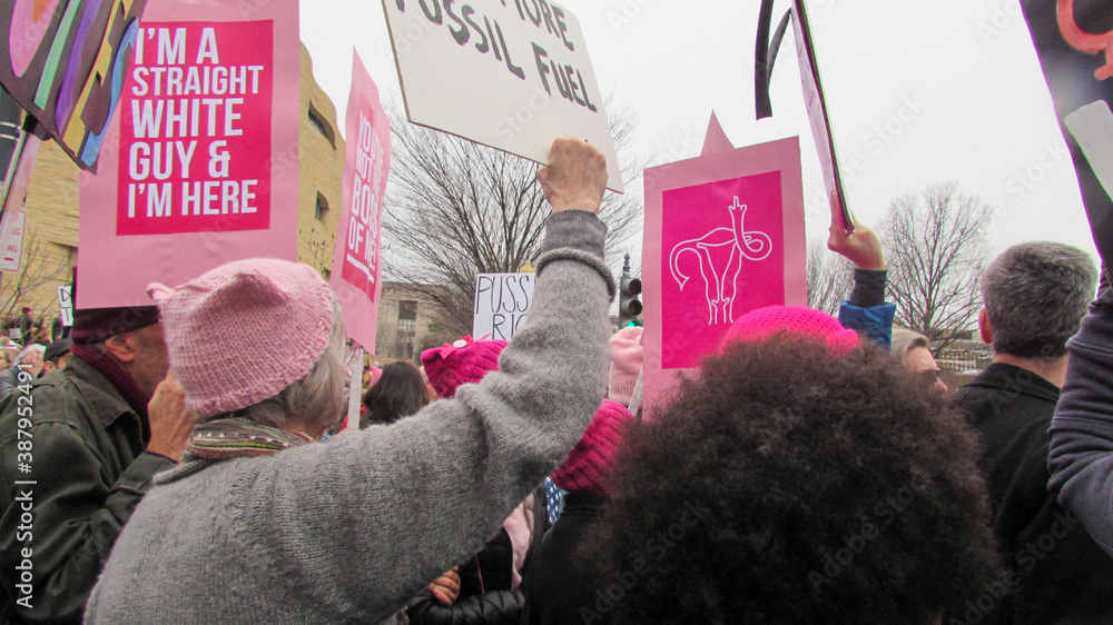 Washington, DC / USA - 01/21/2017: Women's March on Washington pink hats  and protest signs, view from the male and female crowd. Stock Photo | Adobe  Stock