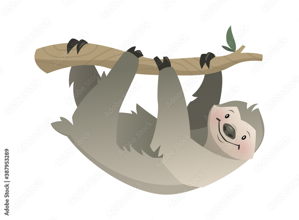 Fototapeta premium Sloth. Tropical jungle, circus or zoo animal, gray bear on branch hanging, wildlife exotic childish print, african fauna character poster. Vector modern single cartoon illustration