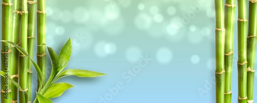 beautiful spa background with bamboo and bokeh