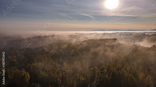 mgła poranna nad lasami i łąkami Górnego Śląska, Polska
