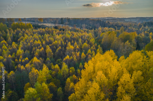 Golden autumn view with yellow trees on the fall afternoon