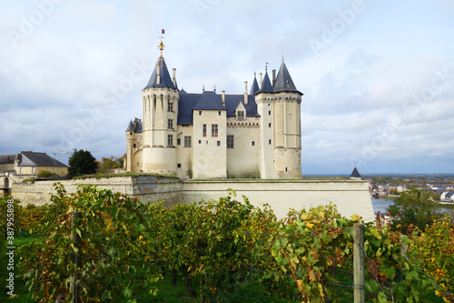 Foto Château de Saumur, Anjou