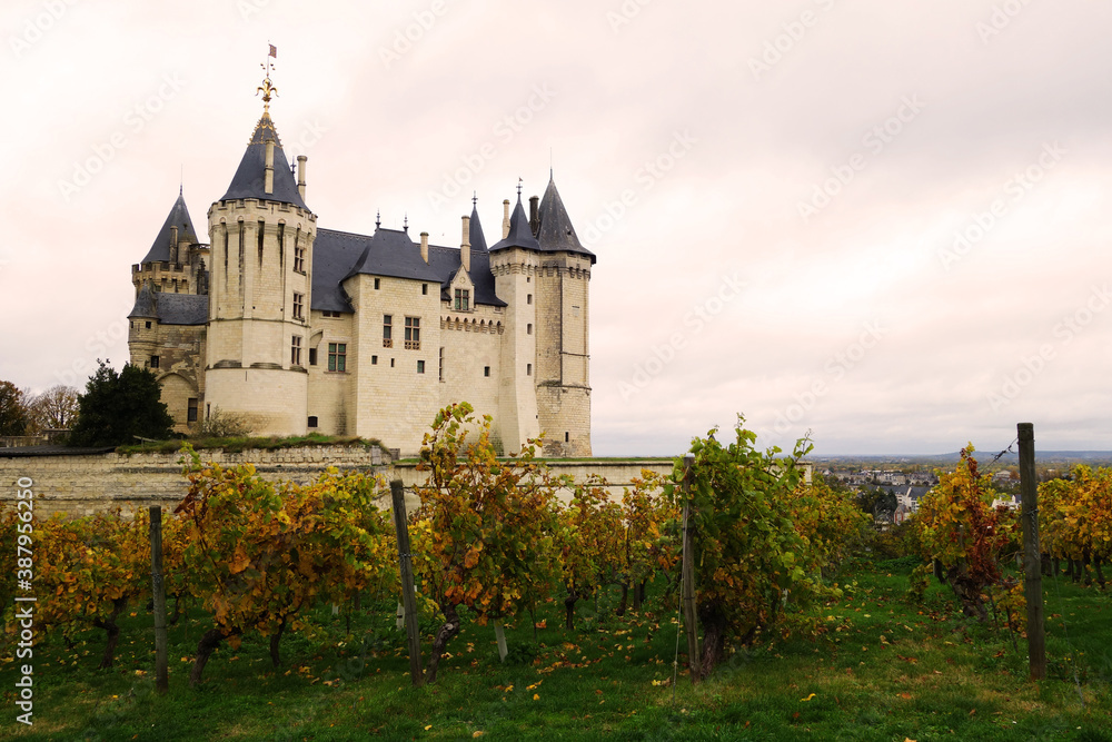Château de Saumur en automne
