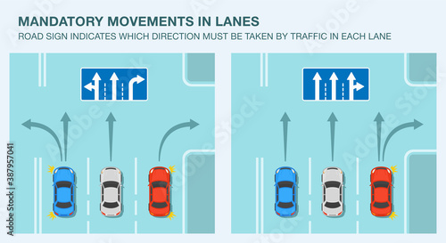 Road lane direction sign meaning. Mandatory movements in lanes infographic. Flat vector illustration template.