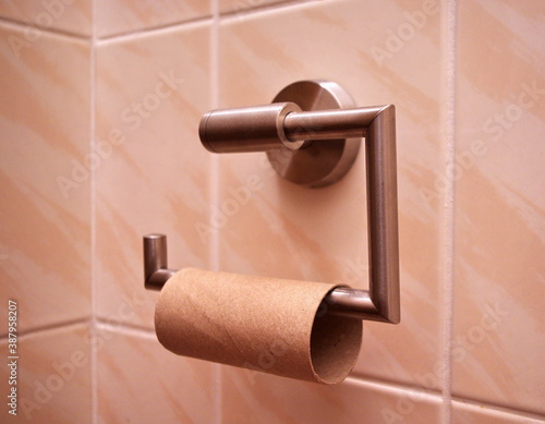 Empty Toilet Paper Roll, toilet paper sales and panic buying concept. COVID-19 finance crisis and panic. photo